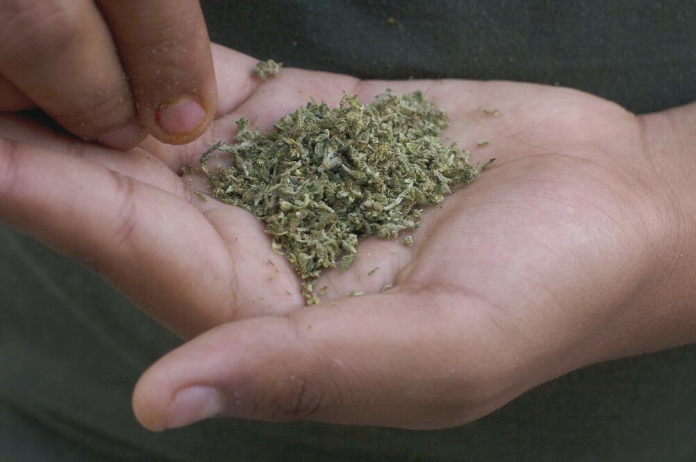 Se tiene previsto que la Suprema Corte de Justicia de la Nación abra hoy una vez más el debate en torno al uso y consumo de la cannabis (ARCHIVO EL UNIVERSAL)