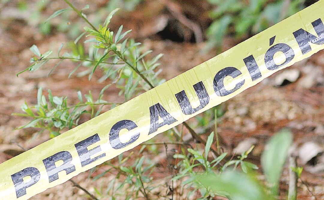 Foto: Archivo / EL UNIVERSAL