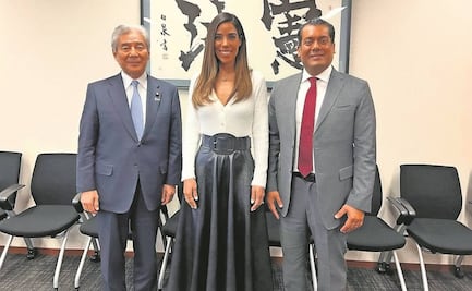 Busca diputada castigar stalkeo tras su viaje a Japón