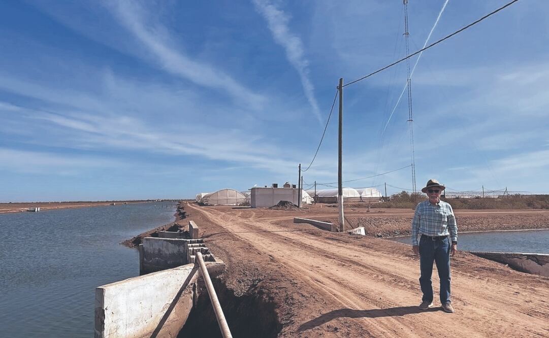Acuicultores de Sinaloa señalan que no reciben apoyos oficiales que podrían impulsar al sector. Foto Especial