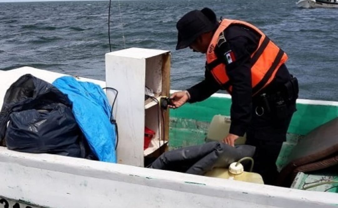 Instituto de Investigación Pesquera alerta sobre pesca ilegal en Mérida; piden fortalecer trazabilidad
Foto: Especial.