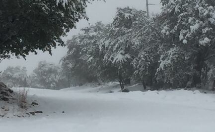 Por nieve, cierran tránsito vehicular entre Sonora y Chihuahua