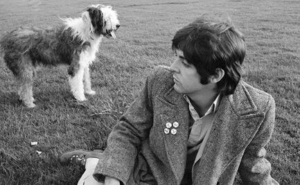 Martha, la pastor inglés que se robó el corazón de Paul McCartney