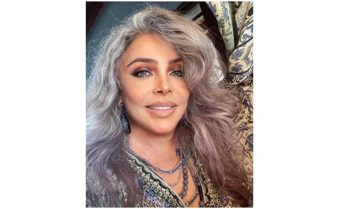 Twitter Verónica Castro