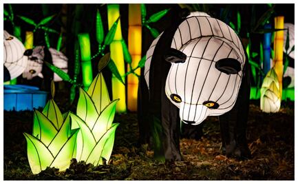 Winter Lantern, festival de linternas chinas en Forum Buenavista