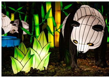 Winter Lantern, festival de linternas chinas en Forum Buenavista