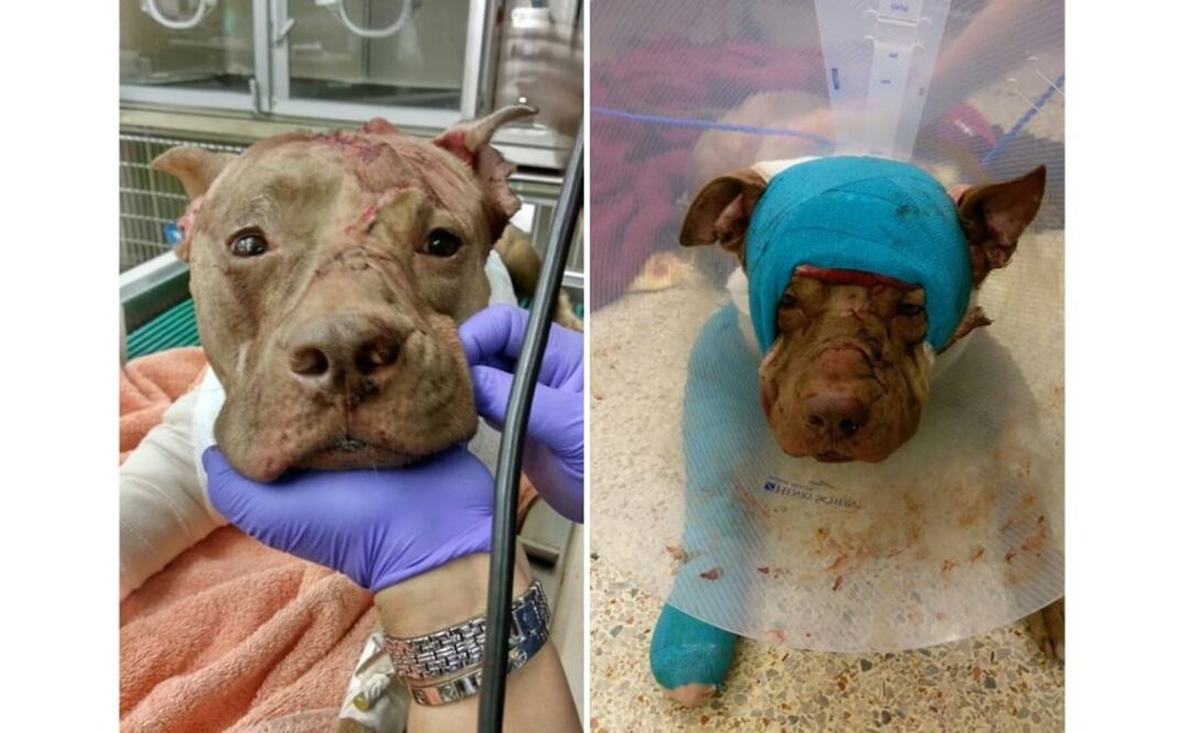 (Foto: Facebook Jan Milbyer)