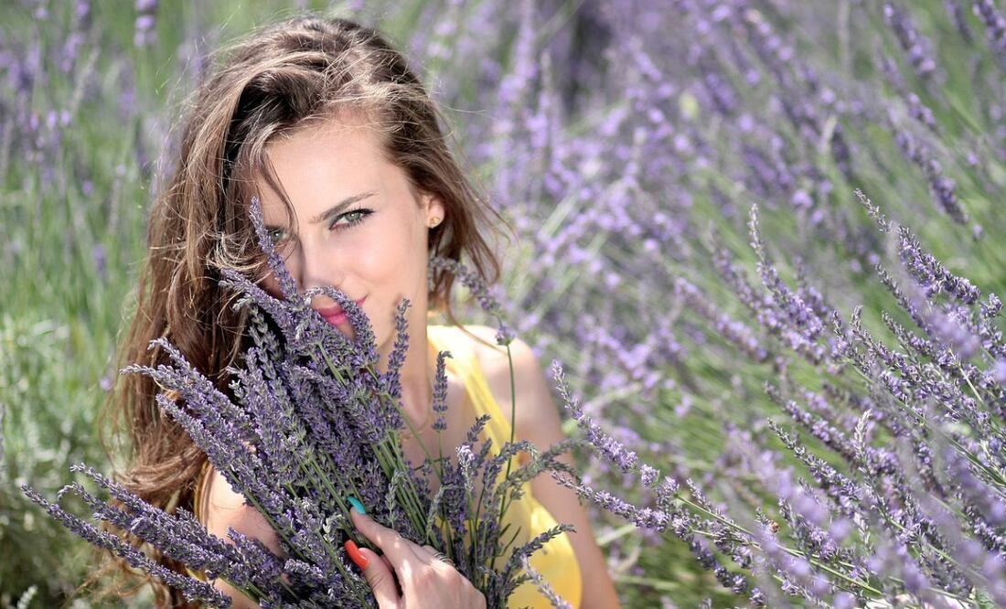 Lavanda. Fuente: Pixabay