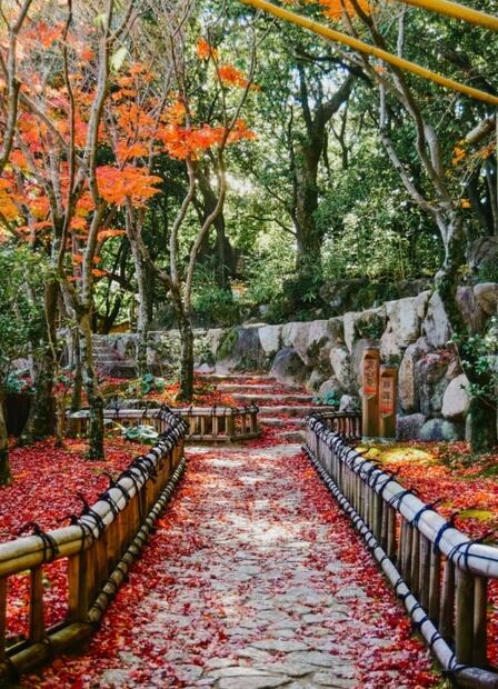 Japan Sense, experiencia holográfica para conocer Japón, desde CDMX