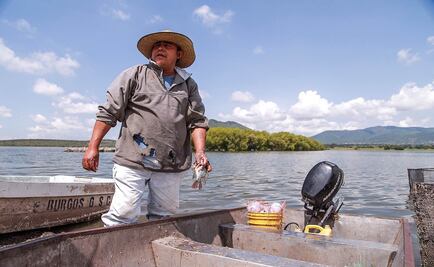 Acuerdan Sagarpa y San Lázaro impulsar la acuacultura
