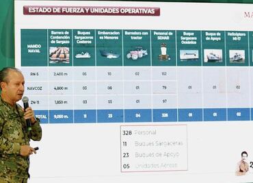 Sargazo en el Caribe prende las alarmas en el Gobierno de México