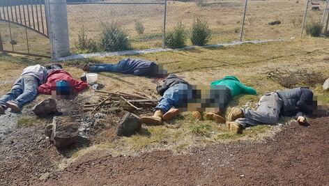 Hallan 7 cuerpos abandonados en una carretera en Michoacán