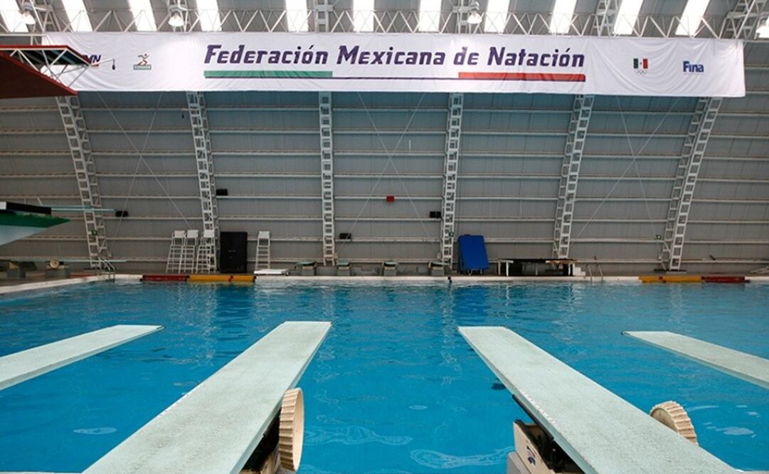 La Federación de Natación sólo quiere llenar sus arcas