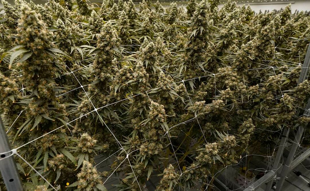 Foto: Archivo/ EL UNIVERSAL