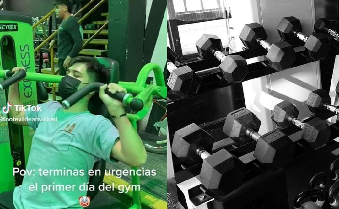 Foto: Captura de tiktok y Pixabay.