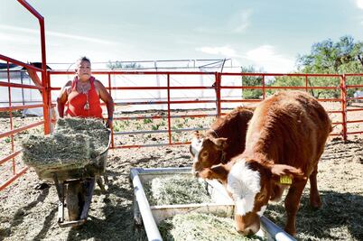 Las recias vaqueras de la península