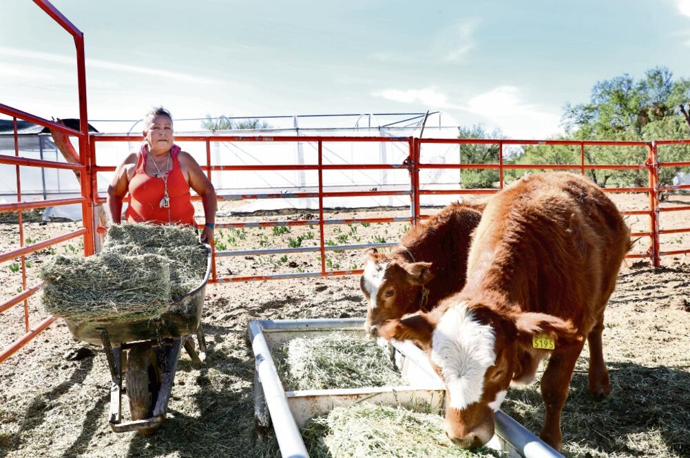 Sandra trabaja sola desde las seis de la mañana hasta que su cuerpo le pida descanso. Sueña con tener en su rancho 100 cabezas de res y 100 de chivo. (VALENTE ROSAS)