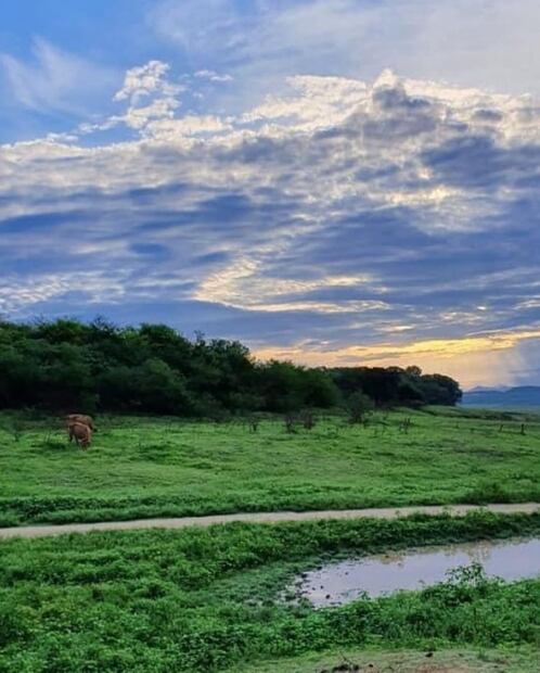 Narnia existe, y es el nuevo atractivo turístico en México