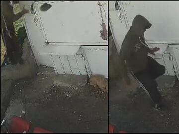 VIDEO: Captan a presunto trabajador de limpia golpeando a perrito en Naucalpan