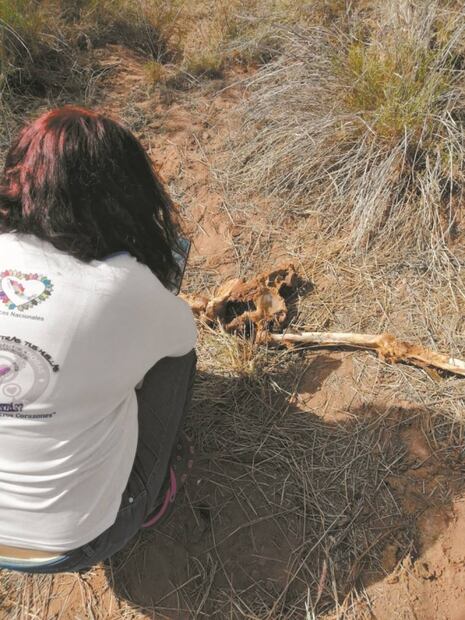 "Si yo muero, ¿quién buscará a mis hijos?", dicen Madres Buscadoras