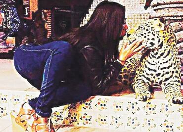 Liberan a novias de "La Unión", detenidas con "El Alexis"