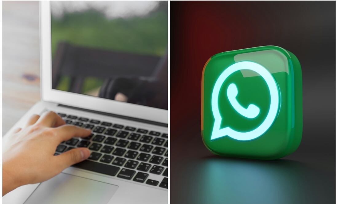 Imagen: Freepik/Unsplash