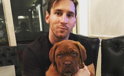 ¿Qué le pasó a Hulk, el perro mayor de Lionel Messi, que no puede vivir en Miami?