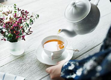 El poder de la planta mexicana que combate el cáncer; podría ser clave en otras enfermedades