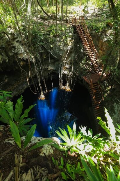 Cenotes en Yucatán: sigue esta ruta casi secreta