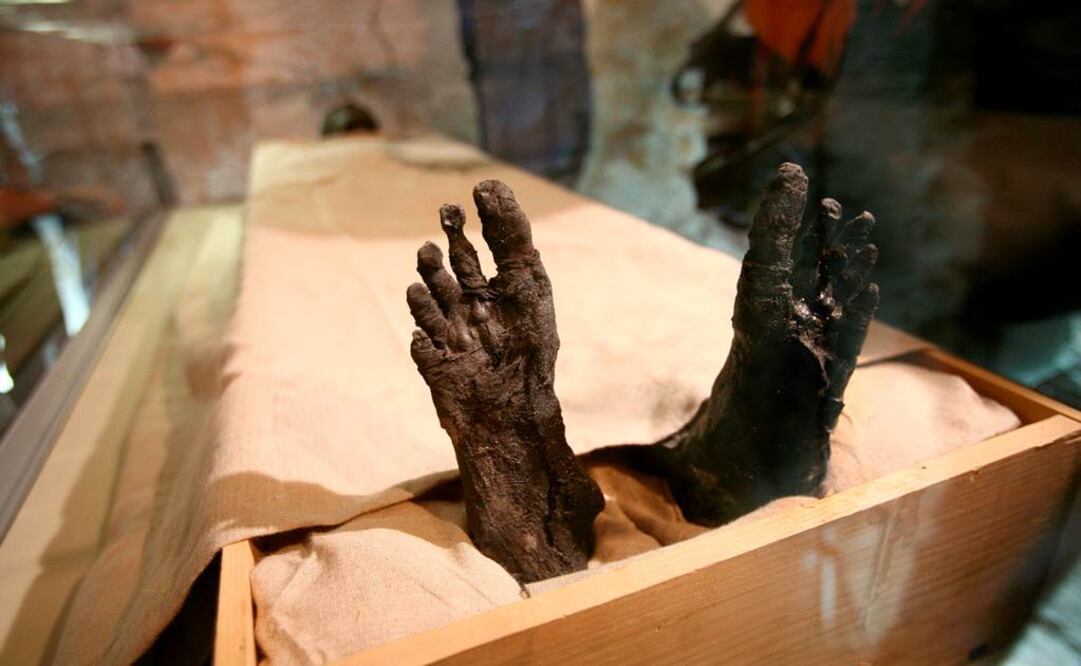 Ese estudio genético reveló el linaje del joven faraón, que con mucha probabilidad era hijo del destacado rey Akenatón, el cual intentó imponer el monoteísmo en Egipto durante su reinado. FOTO: