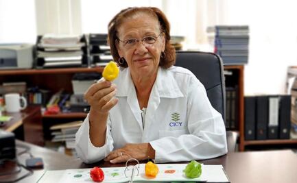 Investigadores yucatecos desarrollaron dos nuevas variedades de chile habanero; afirman que son más picantes