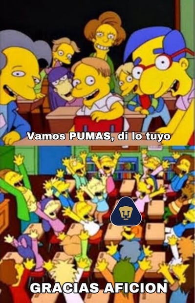 MEMES PUMAS