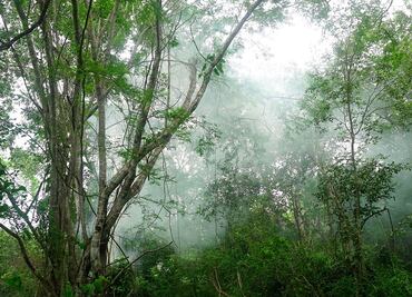 Se adentran en la selva para documentar la vida cotidiana de la comunidad maya