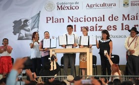 "Queremos conservar el maíz nativo": Sheinbaum; entrega tarjetas del Bienestar de las Milpatecas en Oaxaca