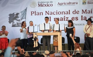 "Queremos conservar el maíz nativo": Sheinbaum; entrega tarjetas del Bienestar de las Milpatecas en Oaxaca