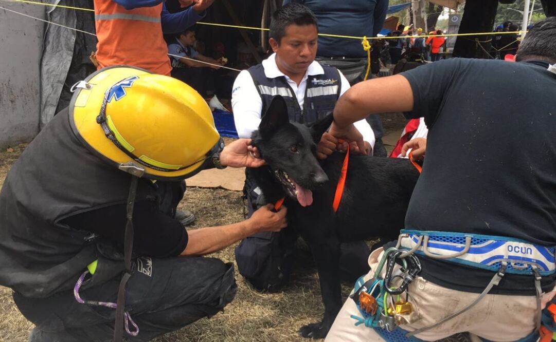 Carlos Arrieta / EL UNIVERSAL