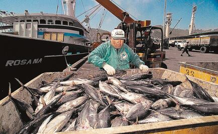 Ross y Guajardo detallan reglas para azúcar, atún y carne de cerdo