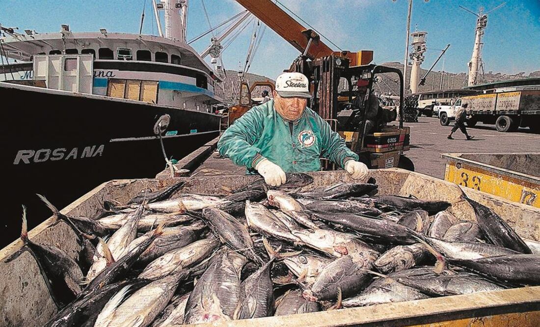 Ross y Guajardo detallan reglas para azúcar, atún y carne de cerdo