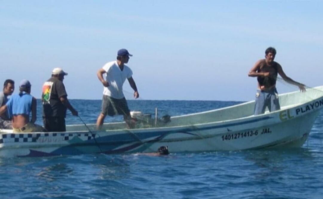 Denuncian en Yucatán pesca furtiva de especies marinas en veda (09/02/2025). Foto: Especial/El Universal