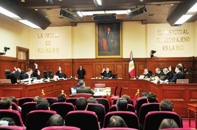 Decomiso de fauna silvestre es legal: SCJN