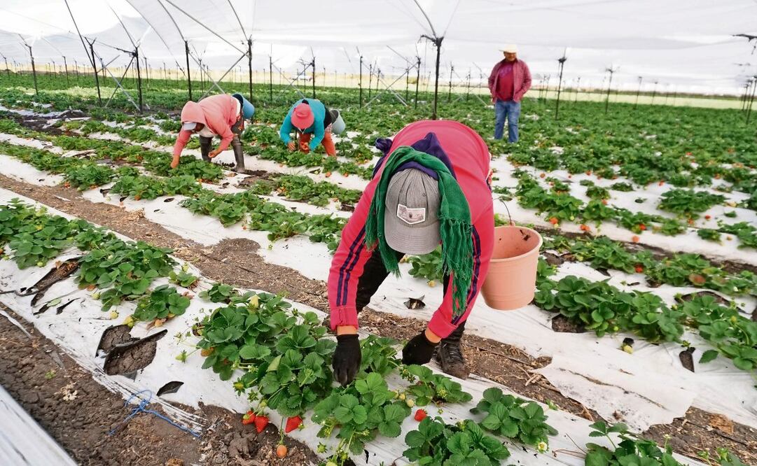 Habitantes de varias comunidades mexicanas son obligados a dejar sus hogares ante la violencia que se vive en México; ahora prefieren cruzar la frontera hacia Guatemala. (17/02/2025) Foto: Mario Armas | AFP