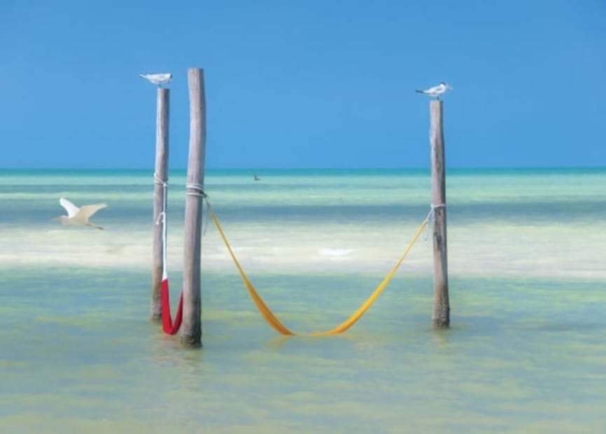 Holbox, Oaxaca y otros lugares para tus vacaciones de diciembre