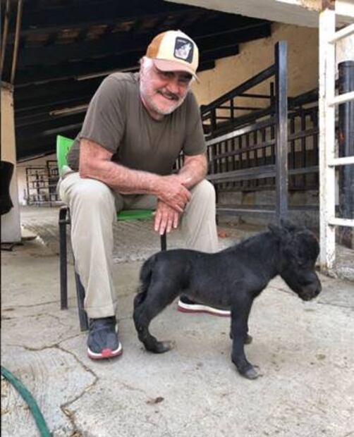 ¿Por qué criticaron a Vicente Fernández en Instagram?