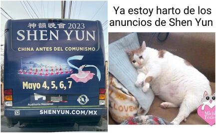 ¿Hartos de anuncios de Shen Yun? Estos son los mejores memes y reacciones