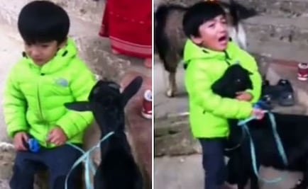 Video. Niño salva a su cabra de sacrificio en Nepal