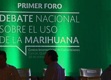 "Debate podría cambiar modelo sobre marihuana"