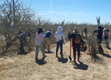 Continúa hallazgo de fosas clandestinas en Baja California Sur; localizan 17 el último mes con 14 osamentas
