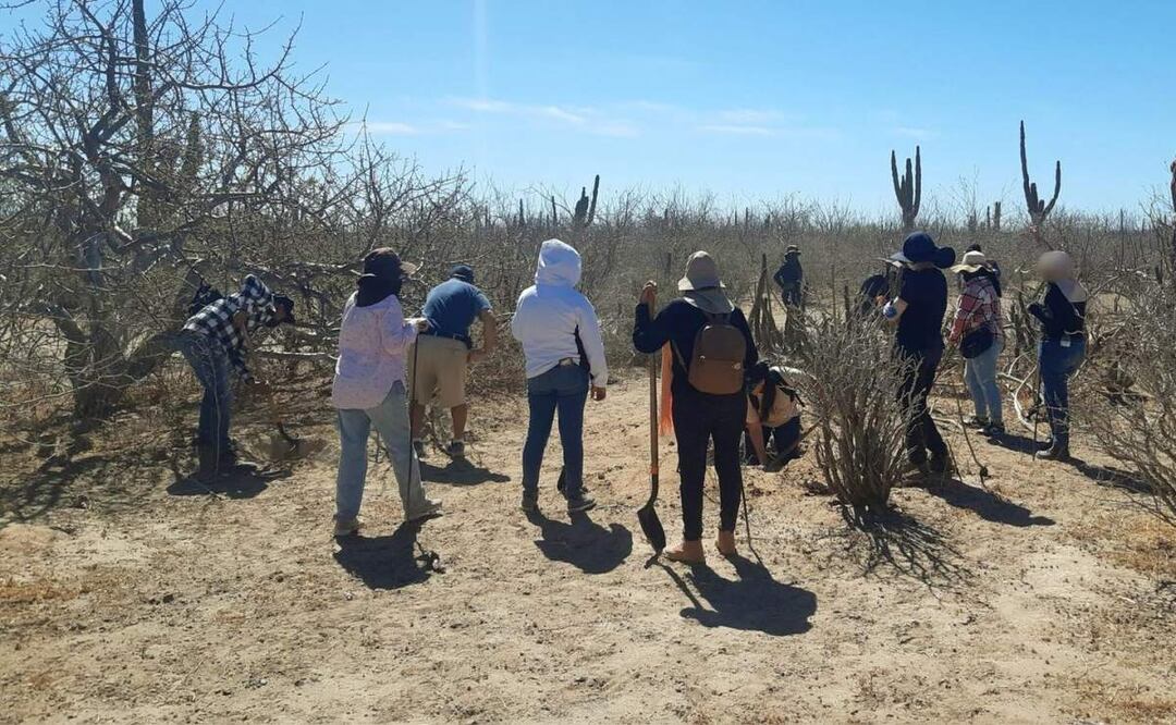 Colectivos hallan nuevas fosas clandestinas en Baja California Sur (05/03/2025). Foto: Especial
