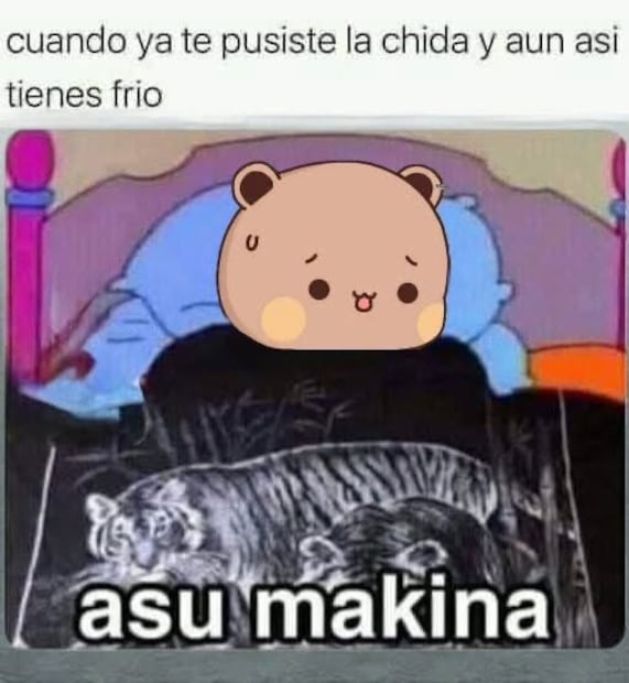 Los mejores memes que dejó el Frente Frío 29. Foto: Redes sociales