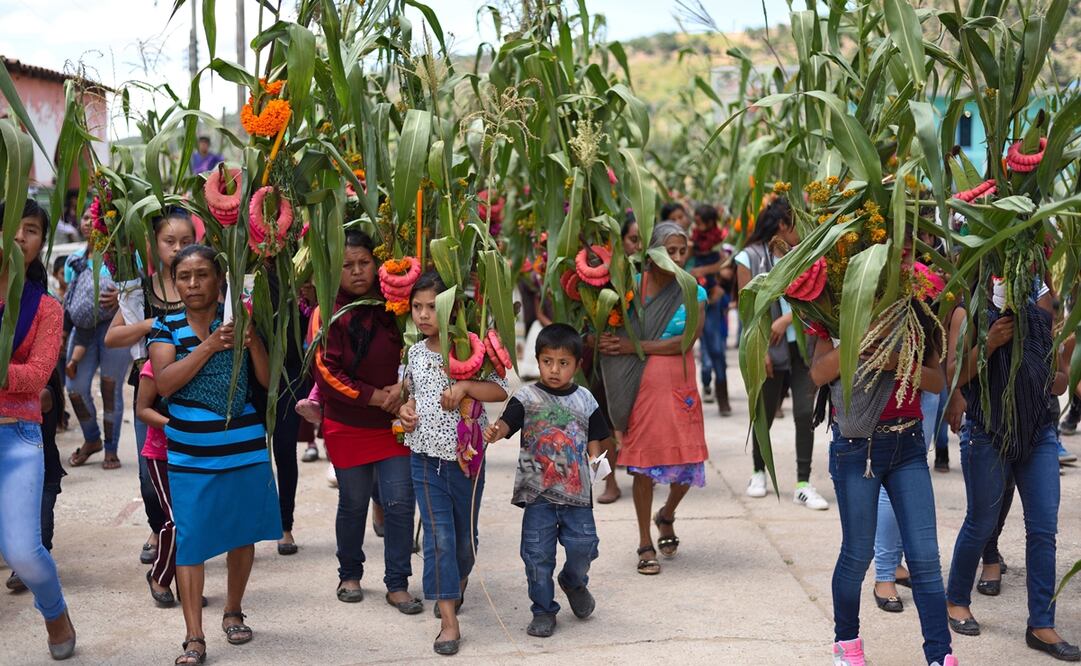 Foto: Archivo El Universal
